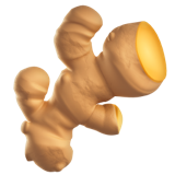 अदरक की जड़