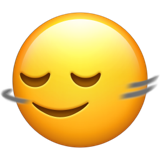 इनकार का इशारा करता हुआ सिर