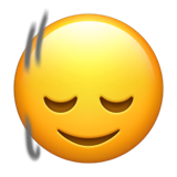 हामी भरने का इशारा करता हुआ सिर