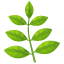 पत्तियों के साथ टहनी U+1F33F पत्तियों के साथ टहनी U+1F33F