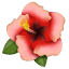 हिबिस्कस इमोजी U+1F33A हिबिस्कस इमोजी U+1F33A