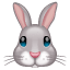 बनी व्हाट्सएप U+1F430 बनी व्हाट्सएप U+1F430